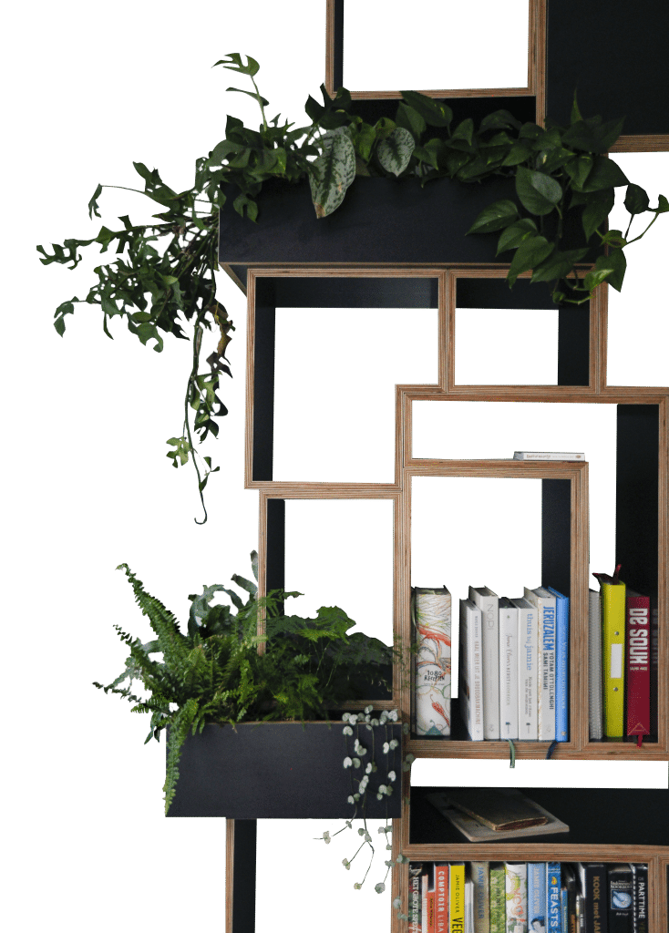 Detail kast met planten en boeken